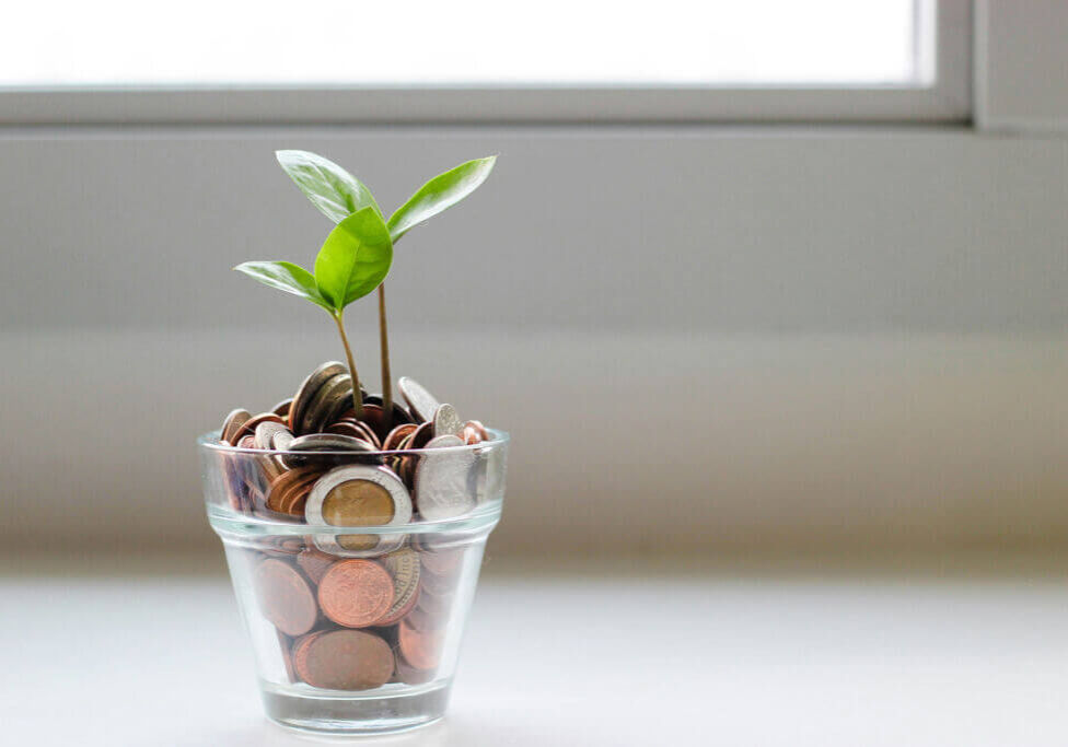 plant growing in a cup of coins